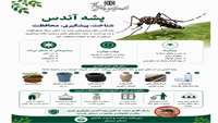 چراباید پشه آئدس را جدی بگیریم؟ 