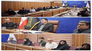 پیگیری و پیاده سازی نان کامل