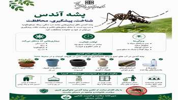 پشه آئدس؛ چرا باید آن را جدی بگیریم؟