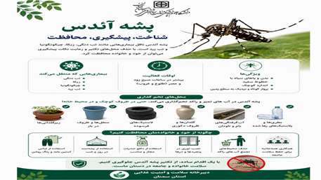  پشه آئدس